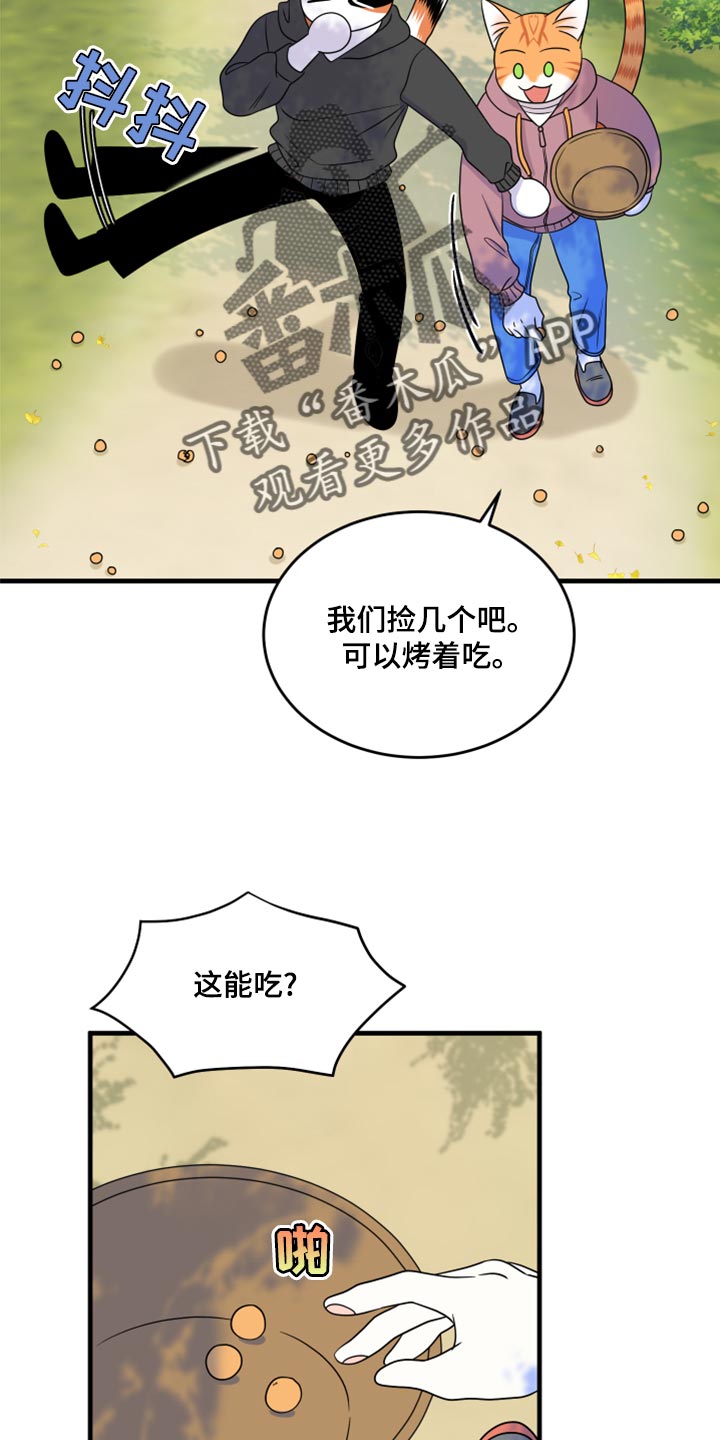 灵猫欧米伽2漫画,第93话2图