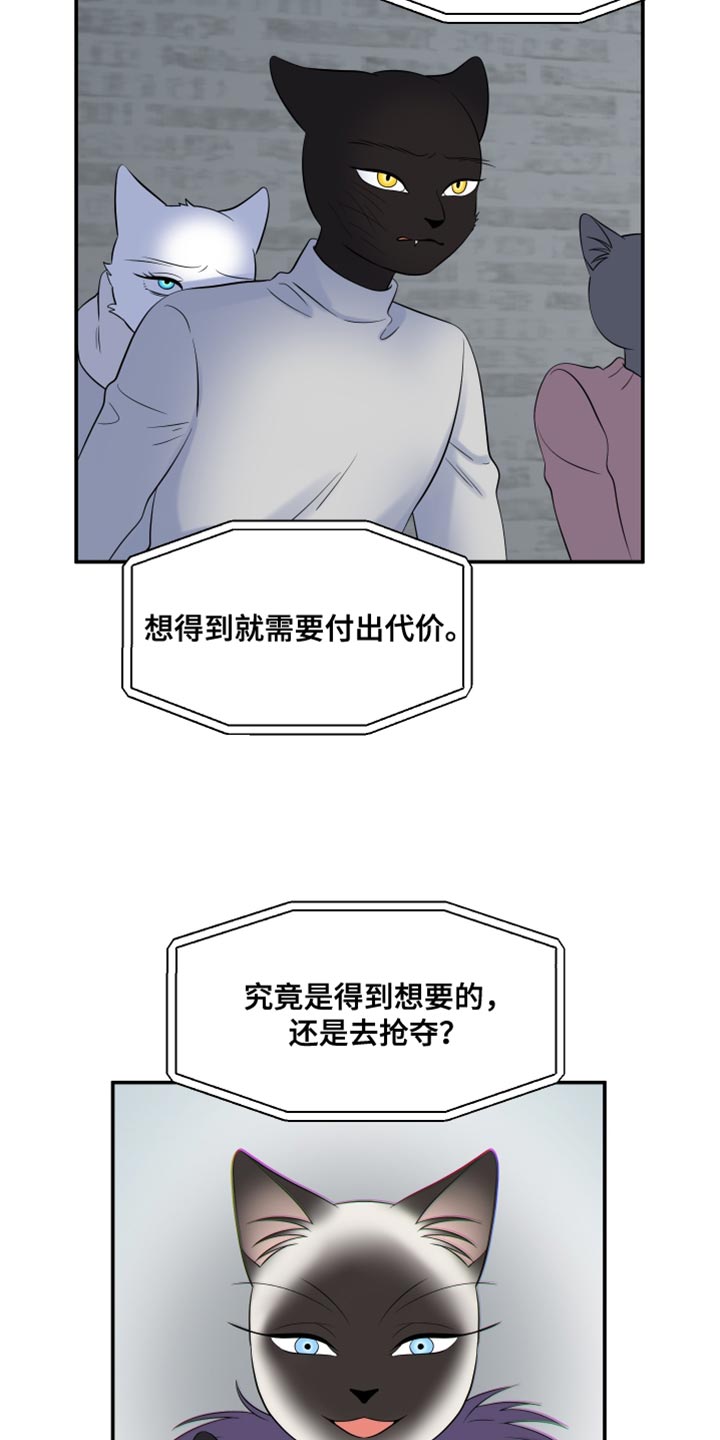 灵猫欧米伽双猫漫画,第149话1图