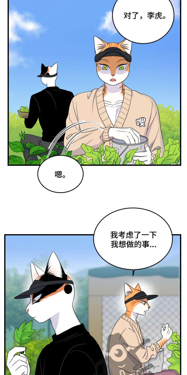 灵猫欧米伽完整版漫画,第87话2图