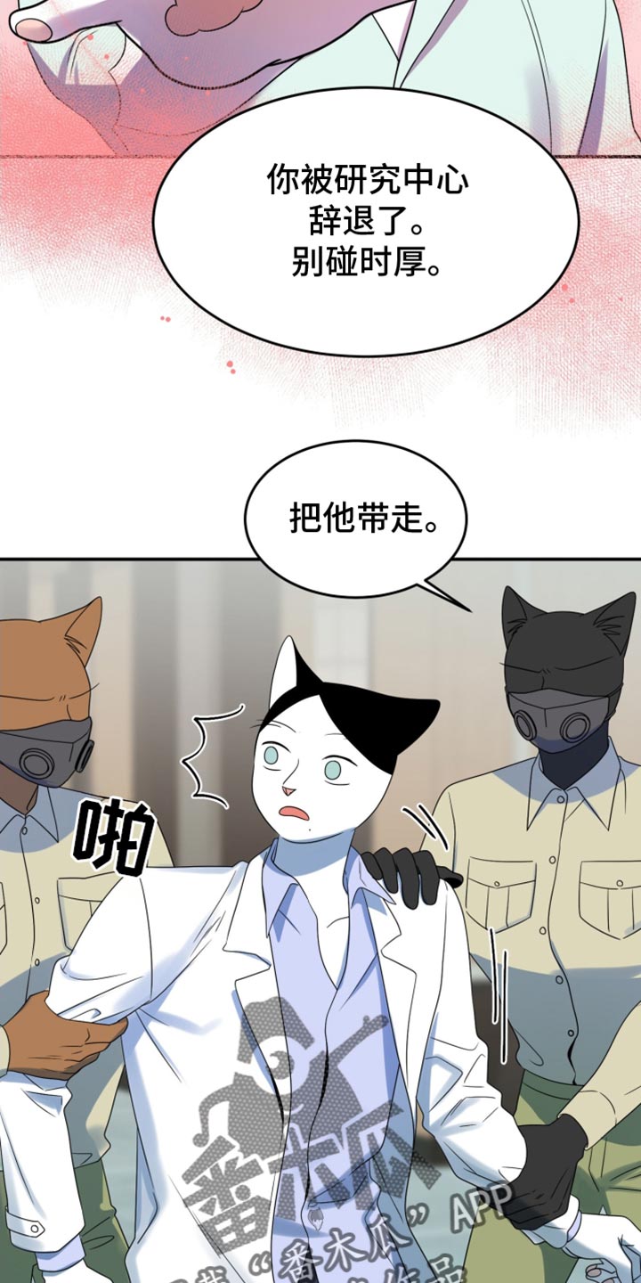 灵猫传陆知也漫画,第131话2图