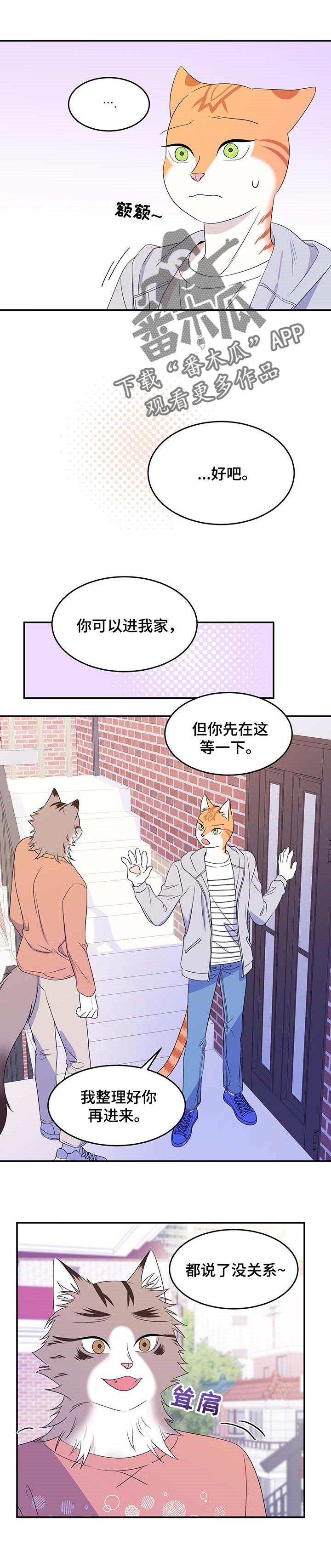 欧米伽3对猫的作用漫画,第18话1图