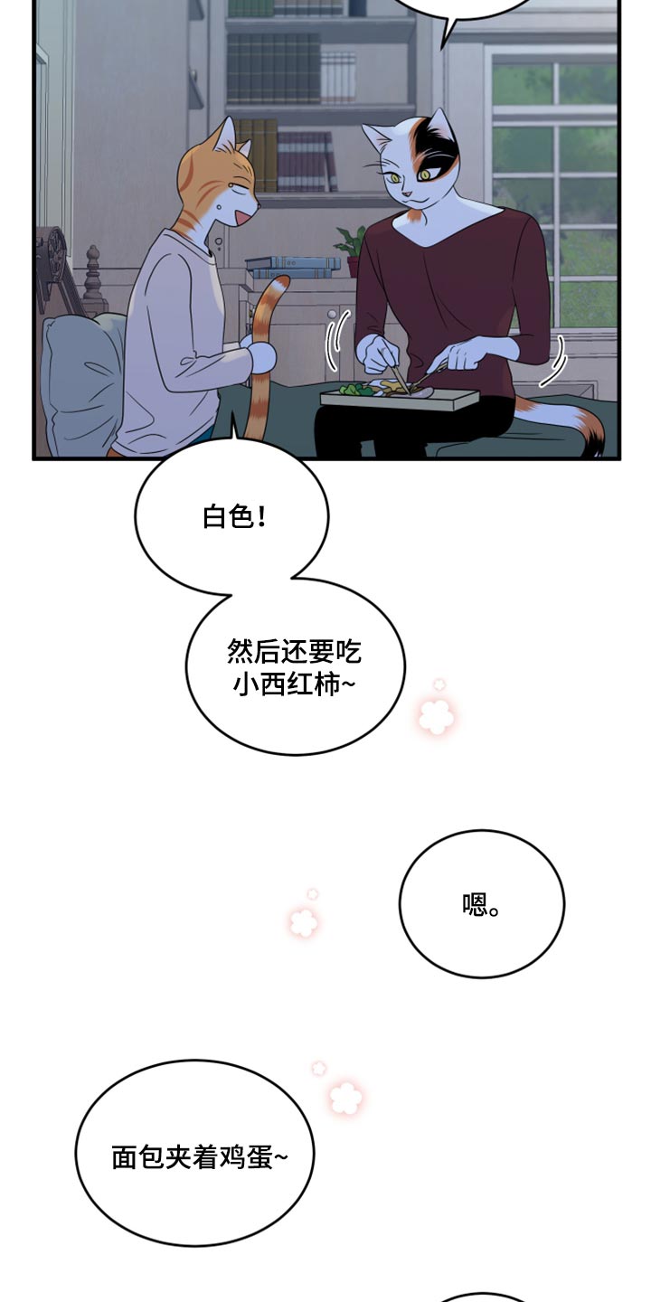 灵猫欧米伽免费阅读漫画,第67话1图