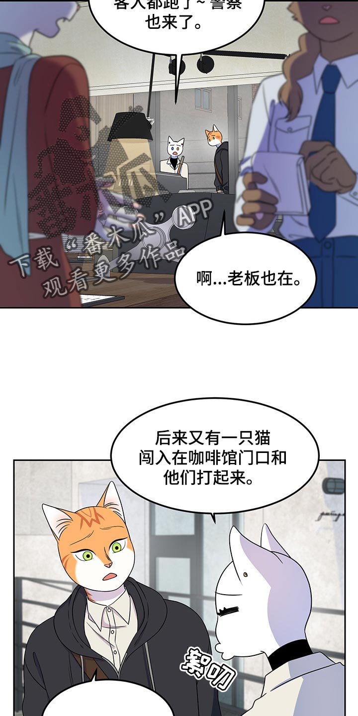 灵猫欧米伽视频漫画,第43话2图