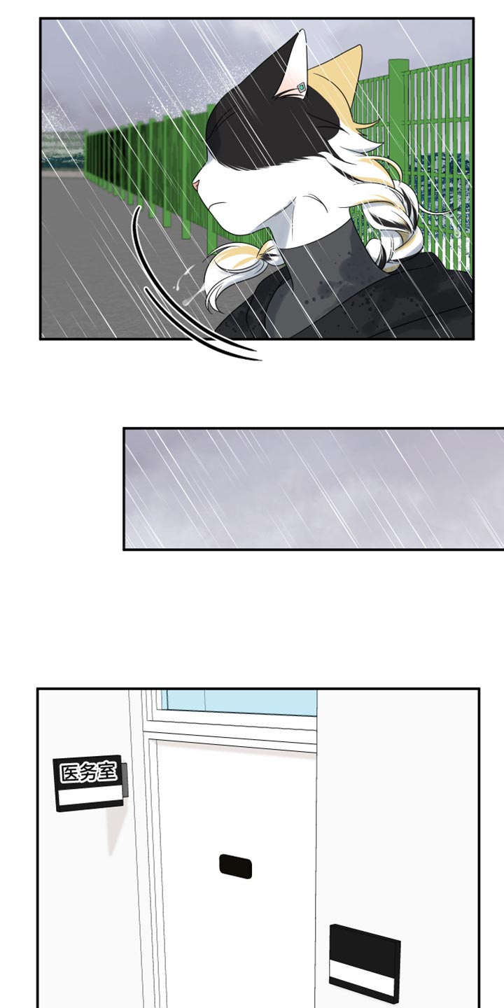 灵猫小说漫画,第113话2图