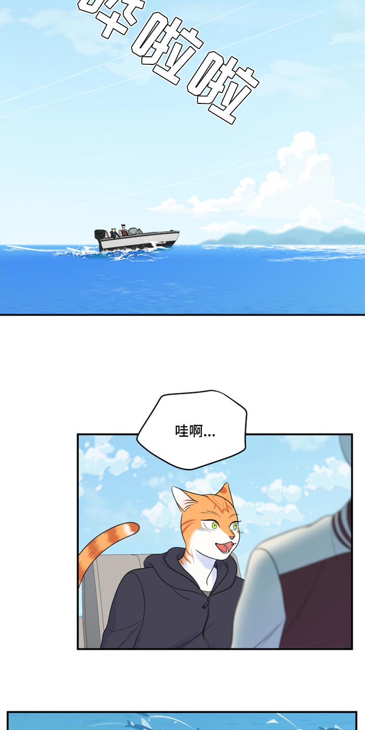 灵猫欧米伽漫画免费观看下拉式漫画,第60话1图