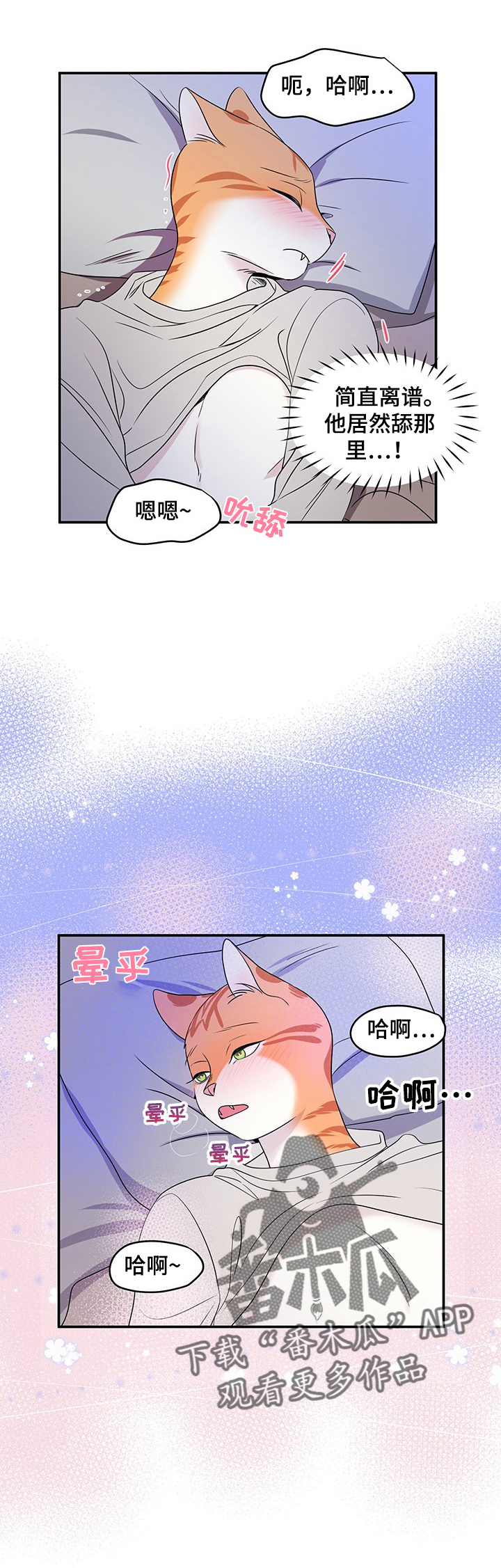 灵猫欧米伽最新话漫画,第4话1图