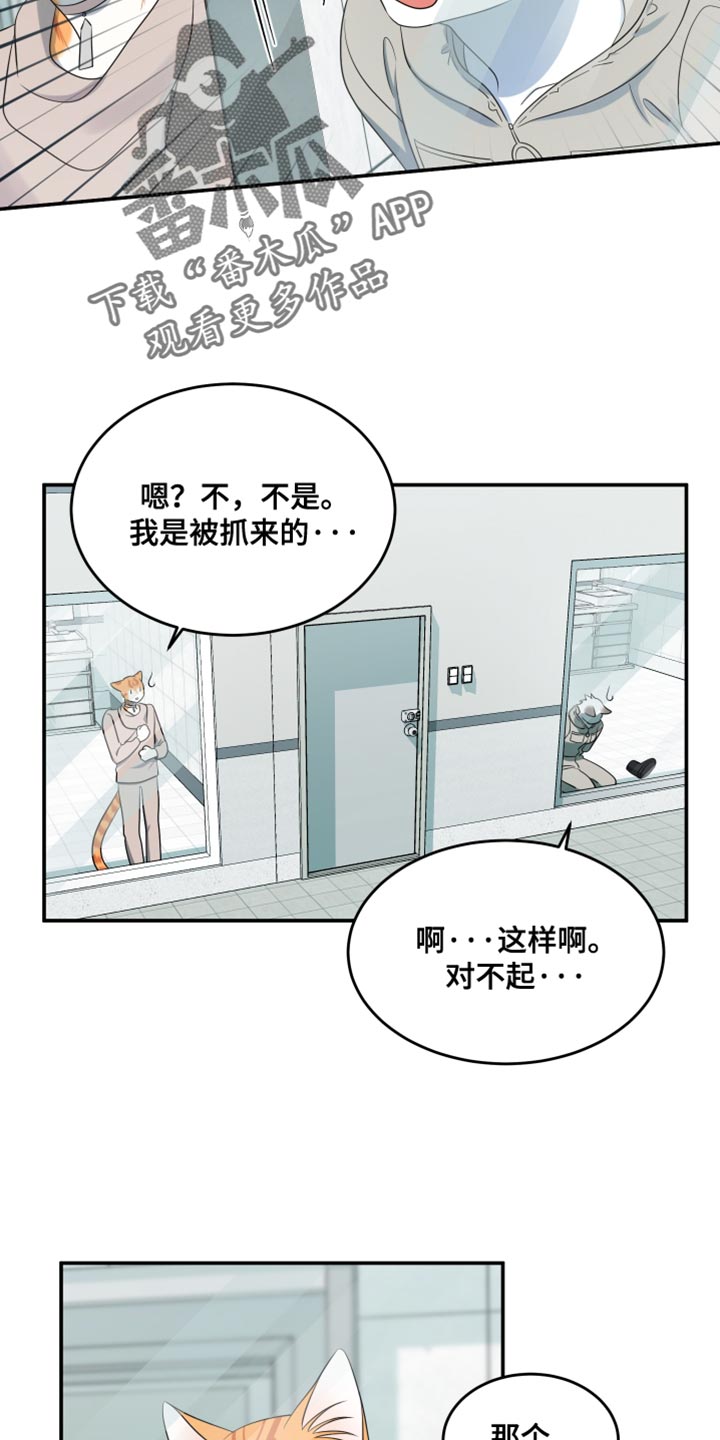 灵猫欧米伽是双男主吗漫画,第134话1图