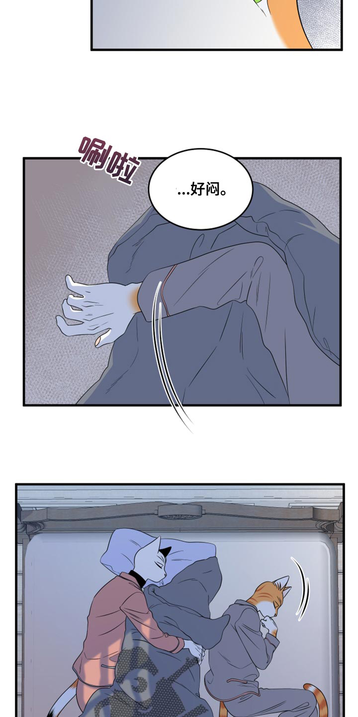 灵猫欧米伽合集漫画,第99话1图