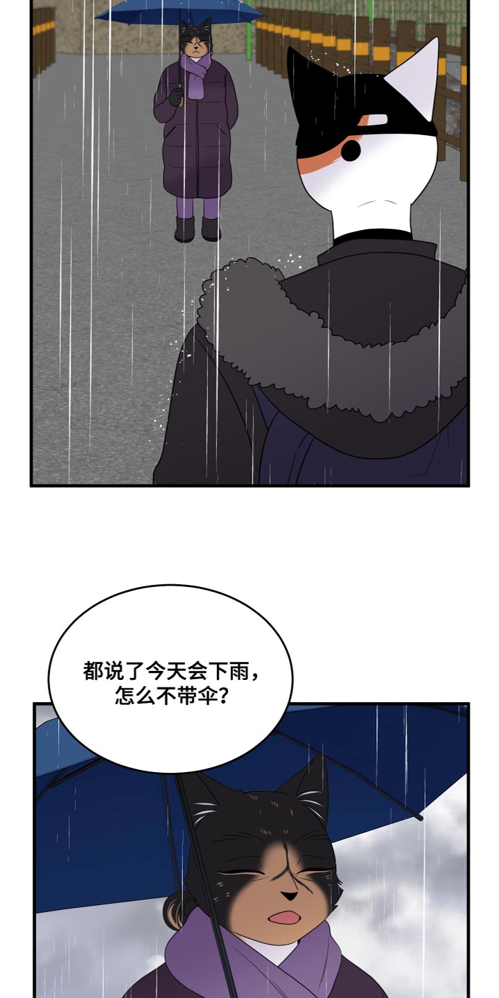 灵猫欧米伽又叫什么漫画,第108话1图