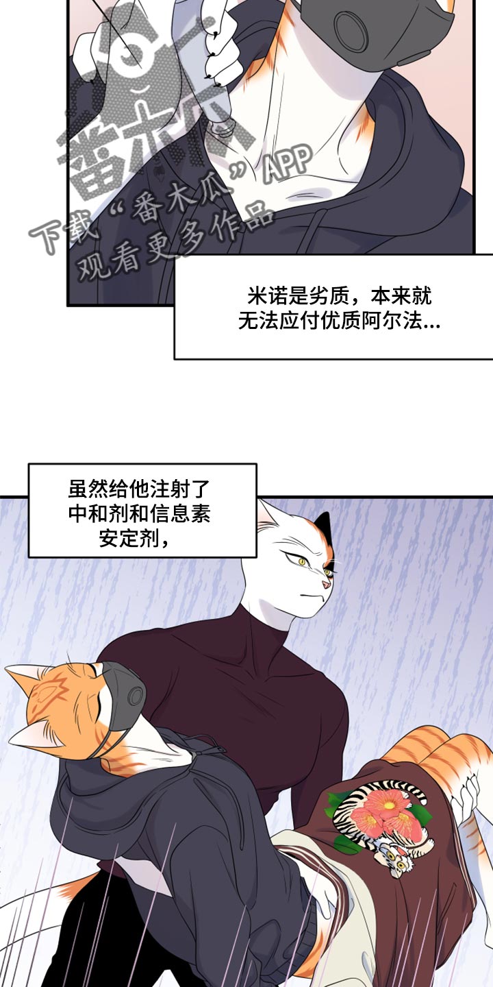 灵猫欧米伽漫画,第65话2图