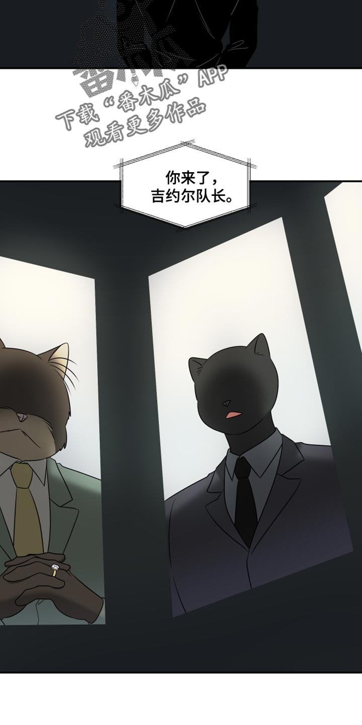 灵猫欧米伽漫蛙叫什么漫画,第135话2图