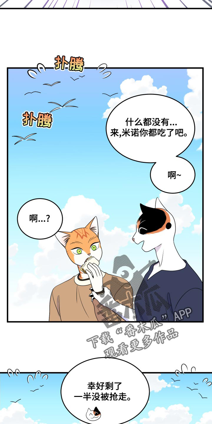 灵猫欧米伽第三季什么时候出漫画,第94话1图