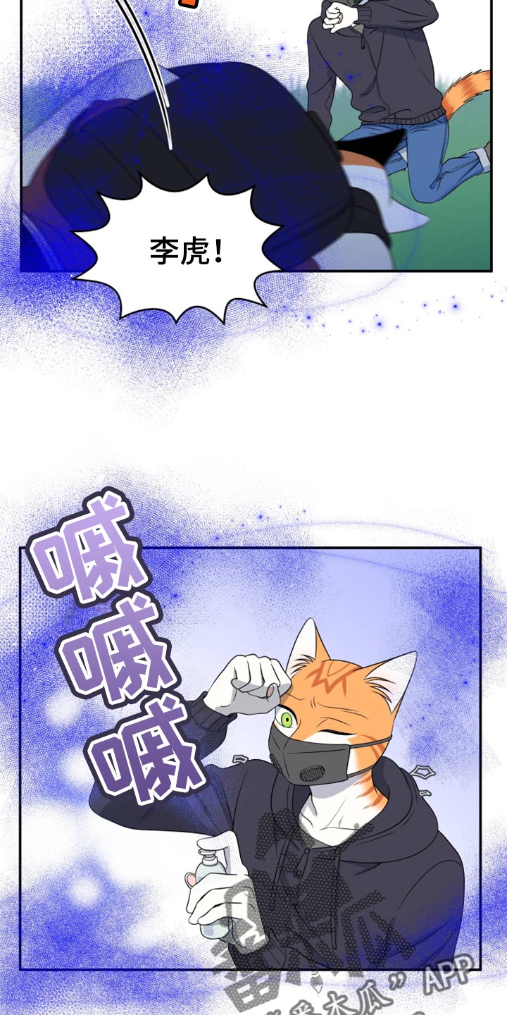 灵猫欧米伽漫画作者漫画,第62话1图