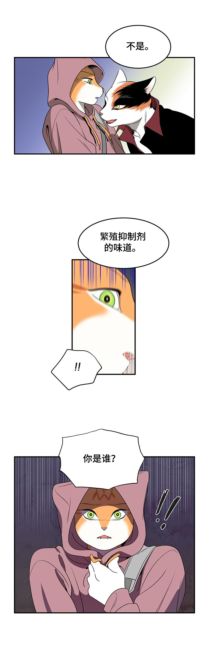 灵猫欧米伽第三季什么时候出漫画,第1话2图