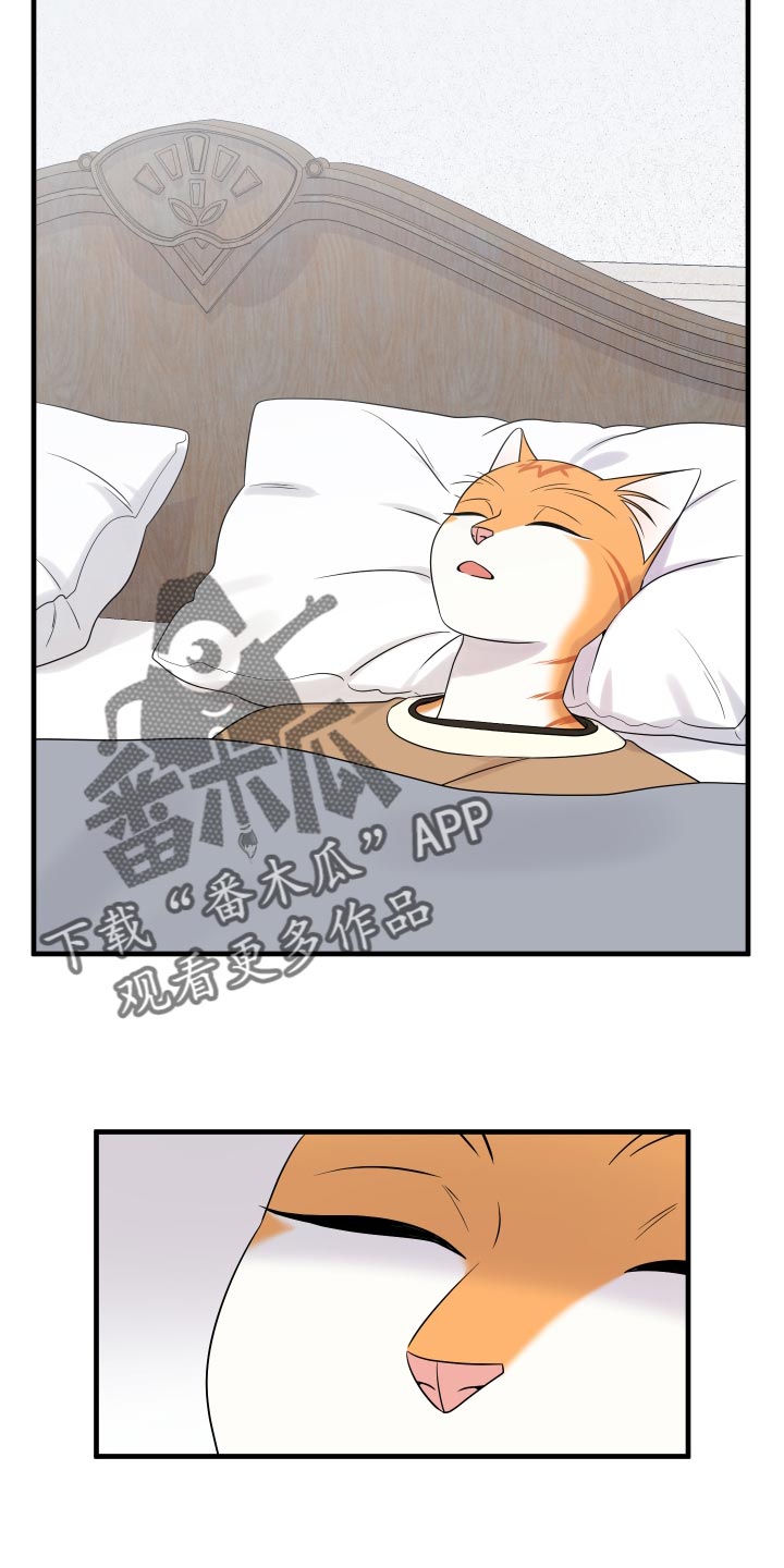 灵猫欧米伽双猫漫画,第97话2图