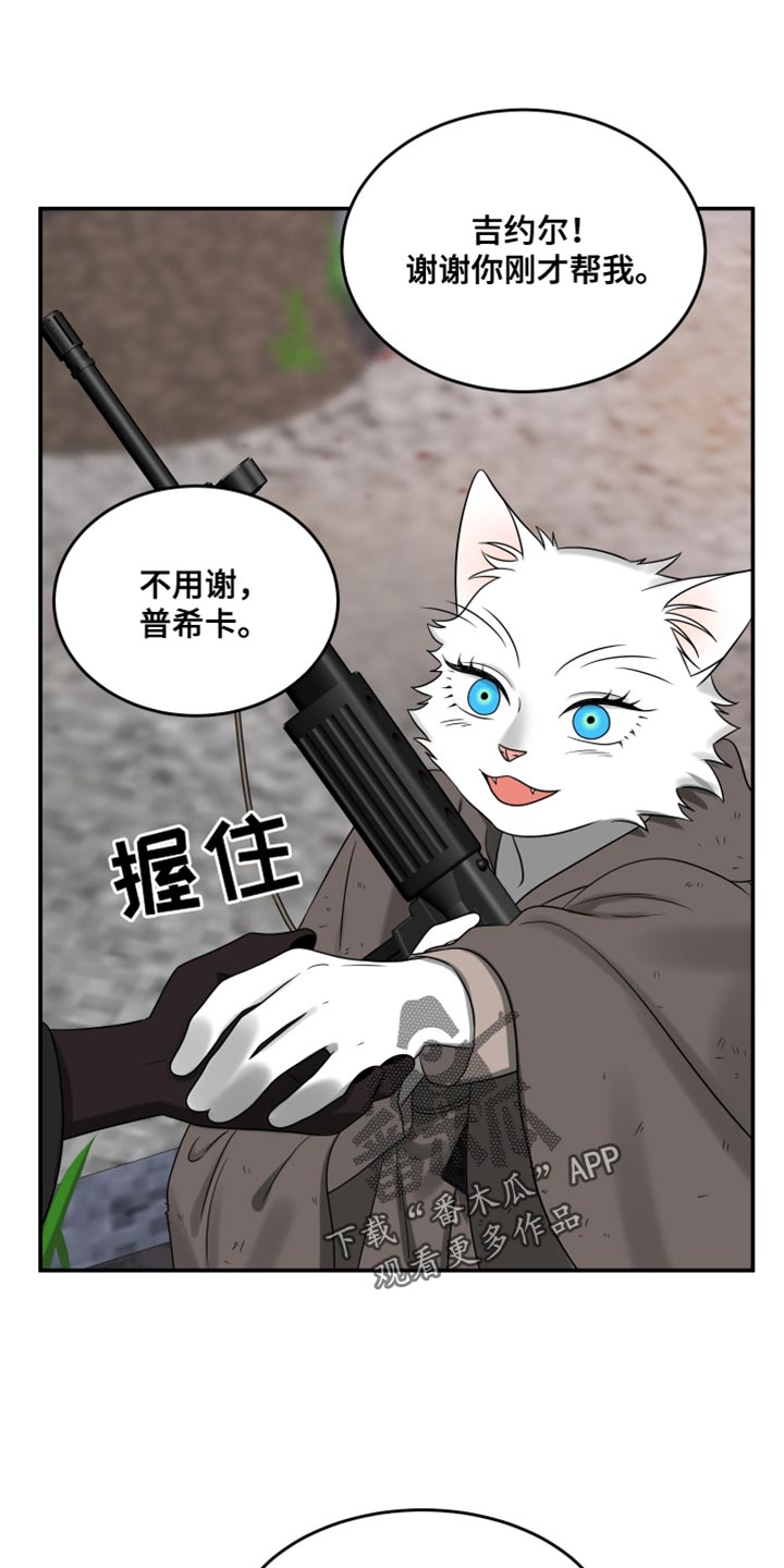 灵猫欧米伽免费版在哪里看漫画,第138话1图