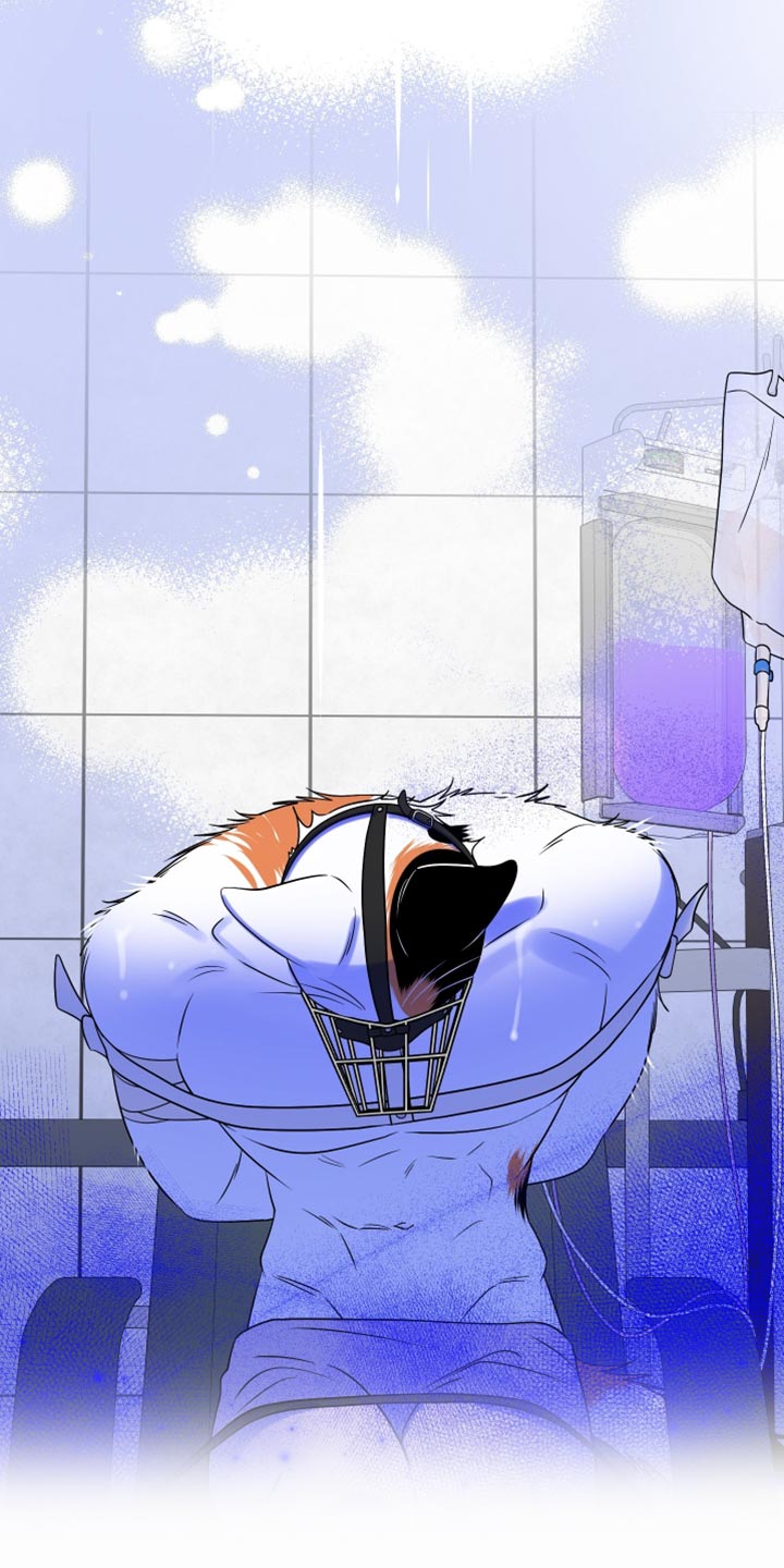 灵猫简介漫画,第161话2图