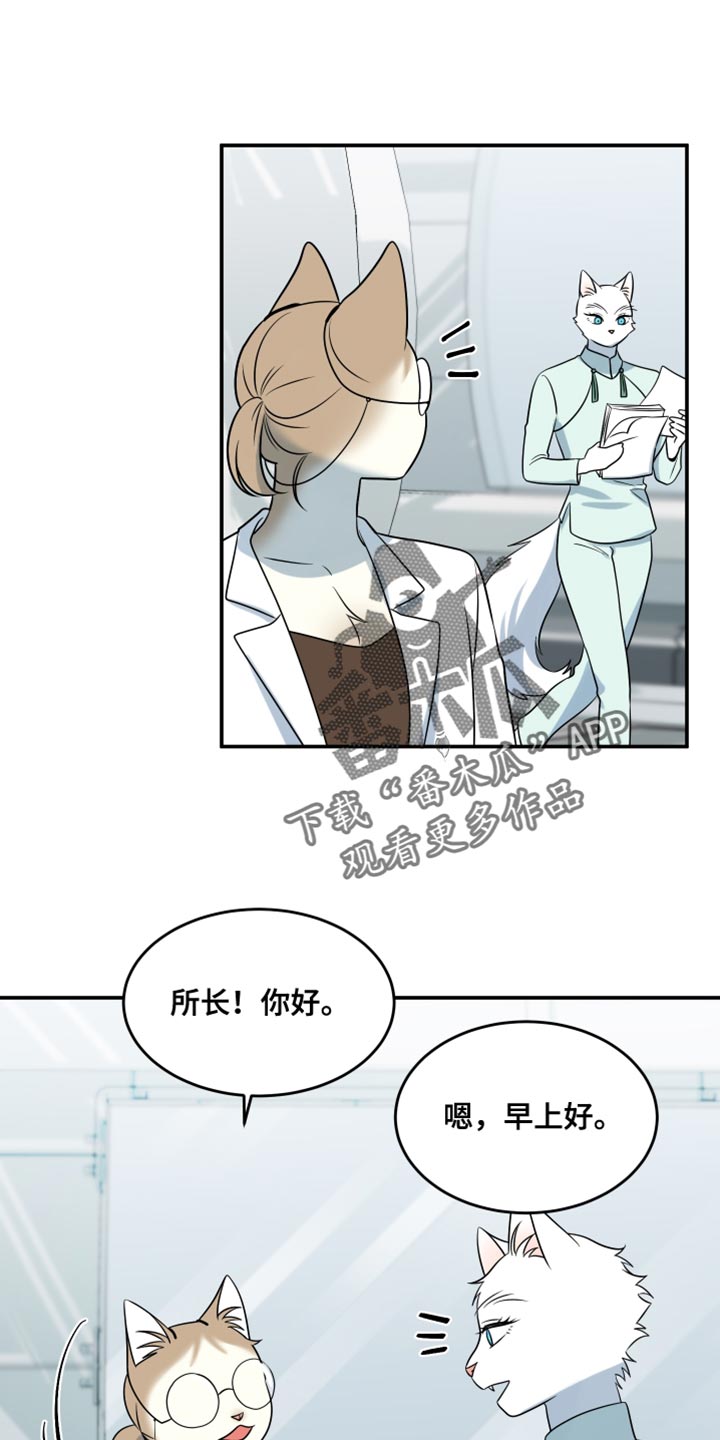 灵猫传歌曲漫画,第136话1图