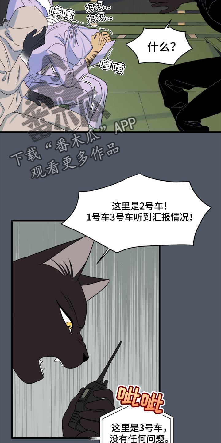 灵猫欧米伽免费版在哪里看漫画,第80话2图