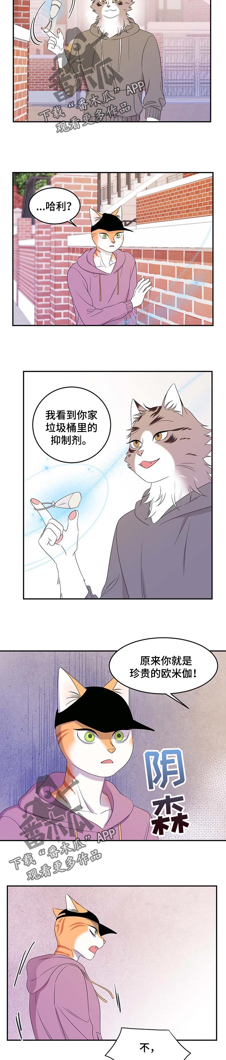 灵猫欧米伽第三季什么时候出漫画,第27话1图