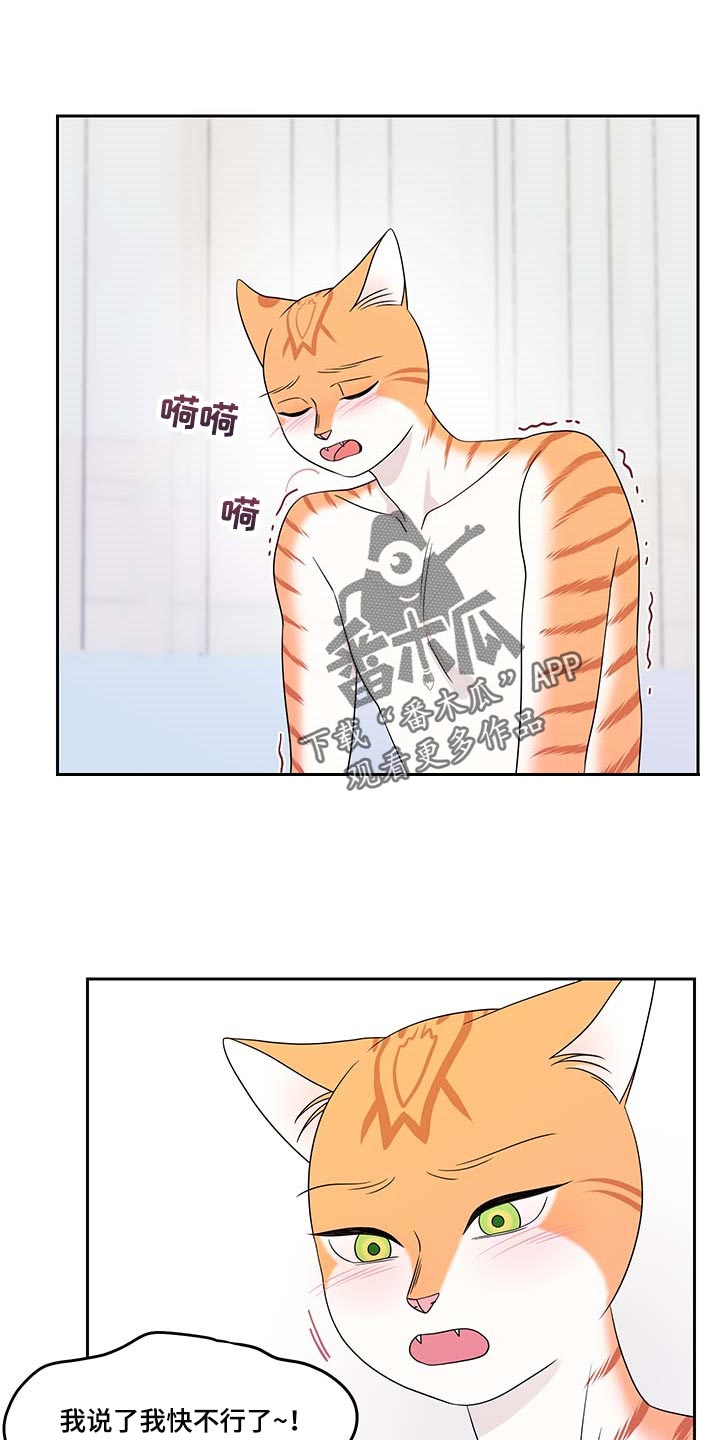 灵猫一起画画画漫画,第47话1图