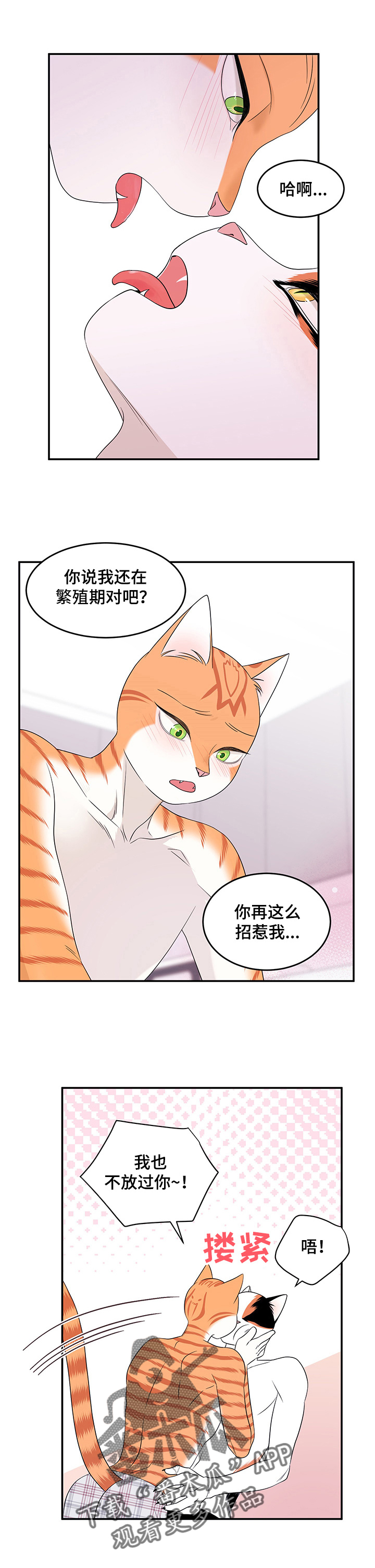 灵猫欧米伽漫画全集免费观看漫画,第15话1图