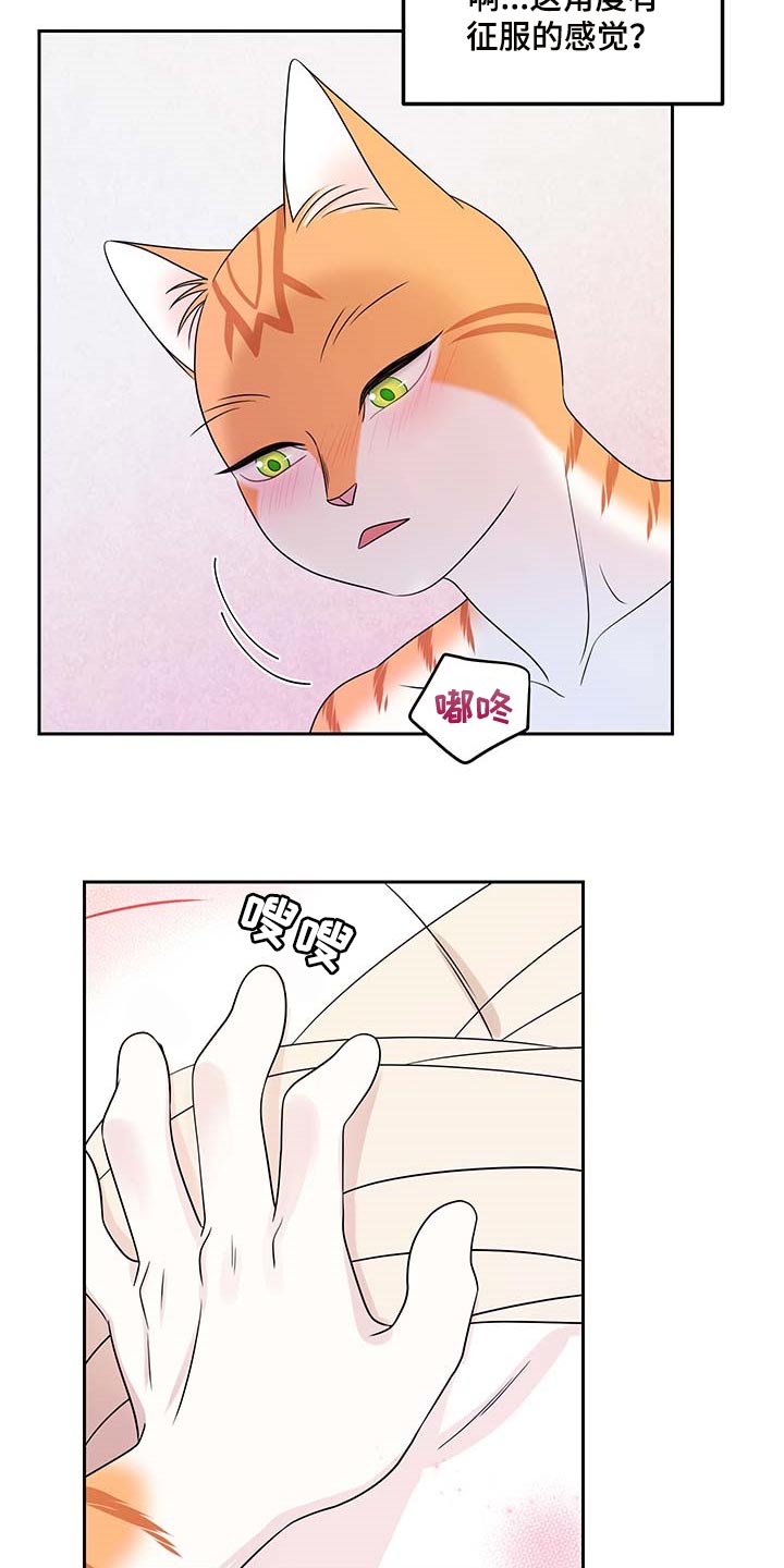 灵猫欧米伽漫蛙叫什么漫画,第46话1图