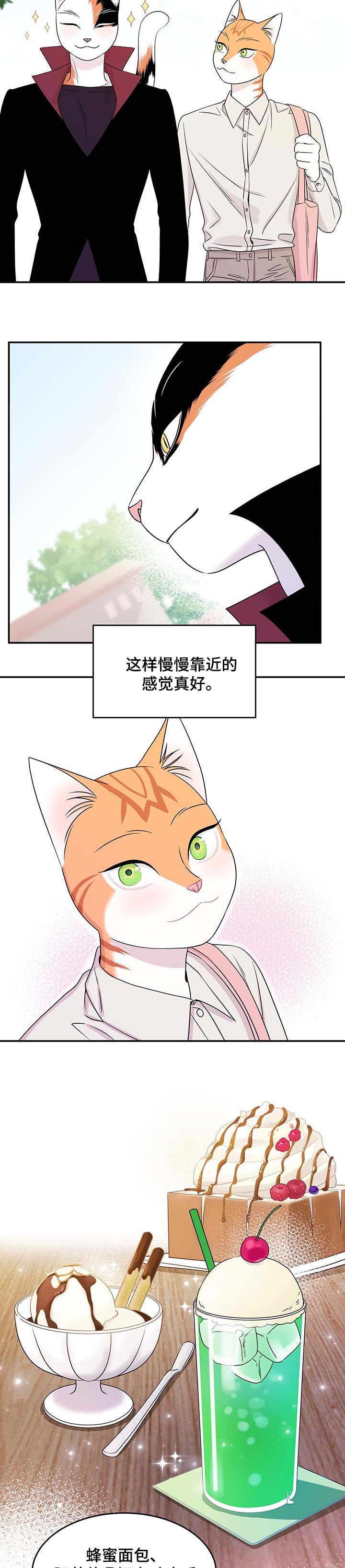 灵猫欧米伽在哪里免费看漫画,第22话1图