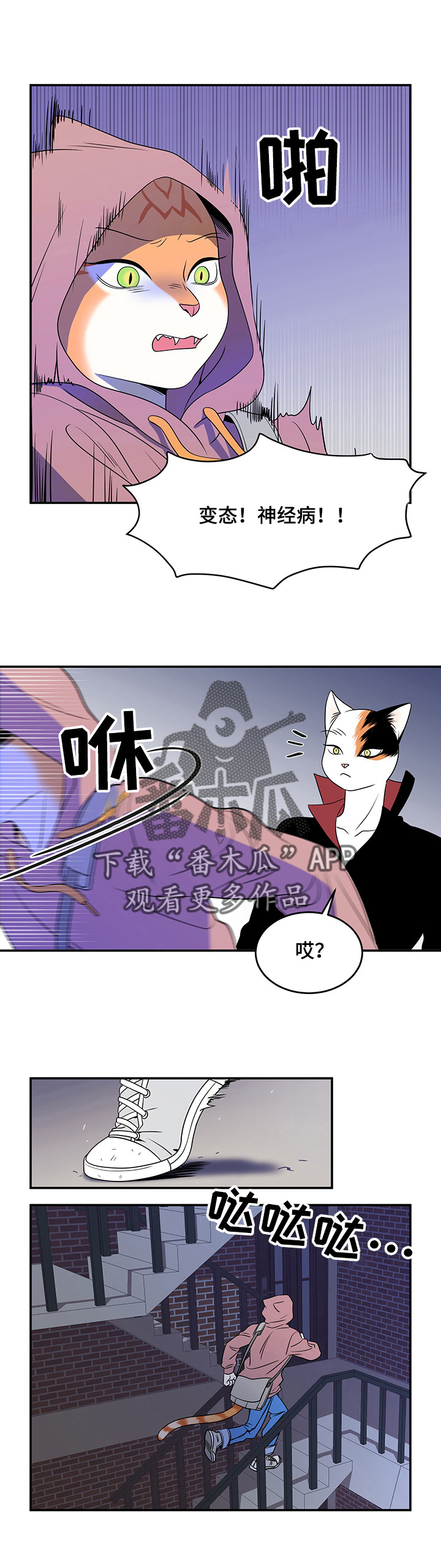 灵猫欧米伽完整版漫画,第2话2图