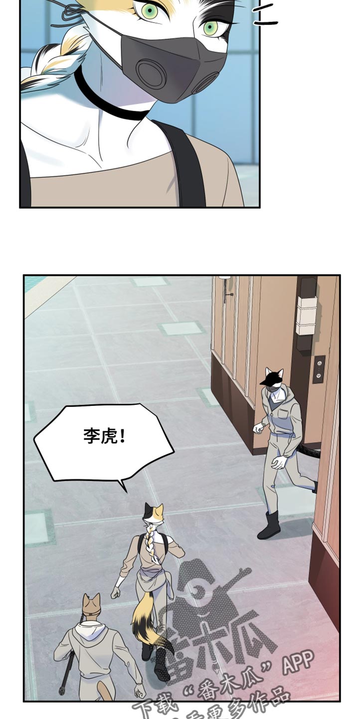 灵猫欧米伽双猫漫画,第127话2图