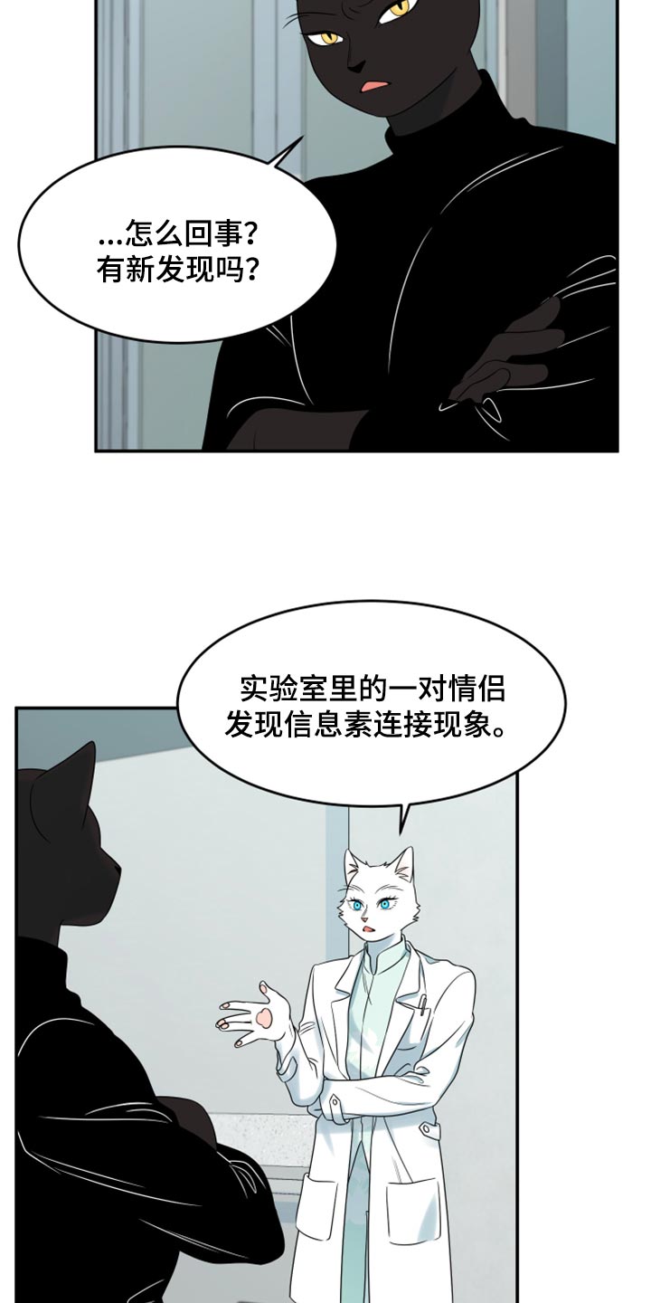 灵猫欧米伽免费阅读漫画,第58话2图