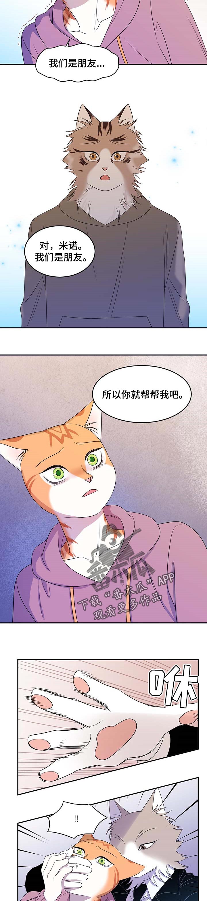 灵猫欧米伽完整版漫画,第27话2图