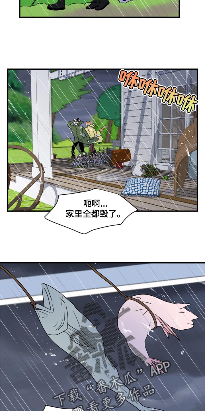 灵猫欧米伽又叫什么漫画,第88话2图