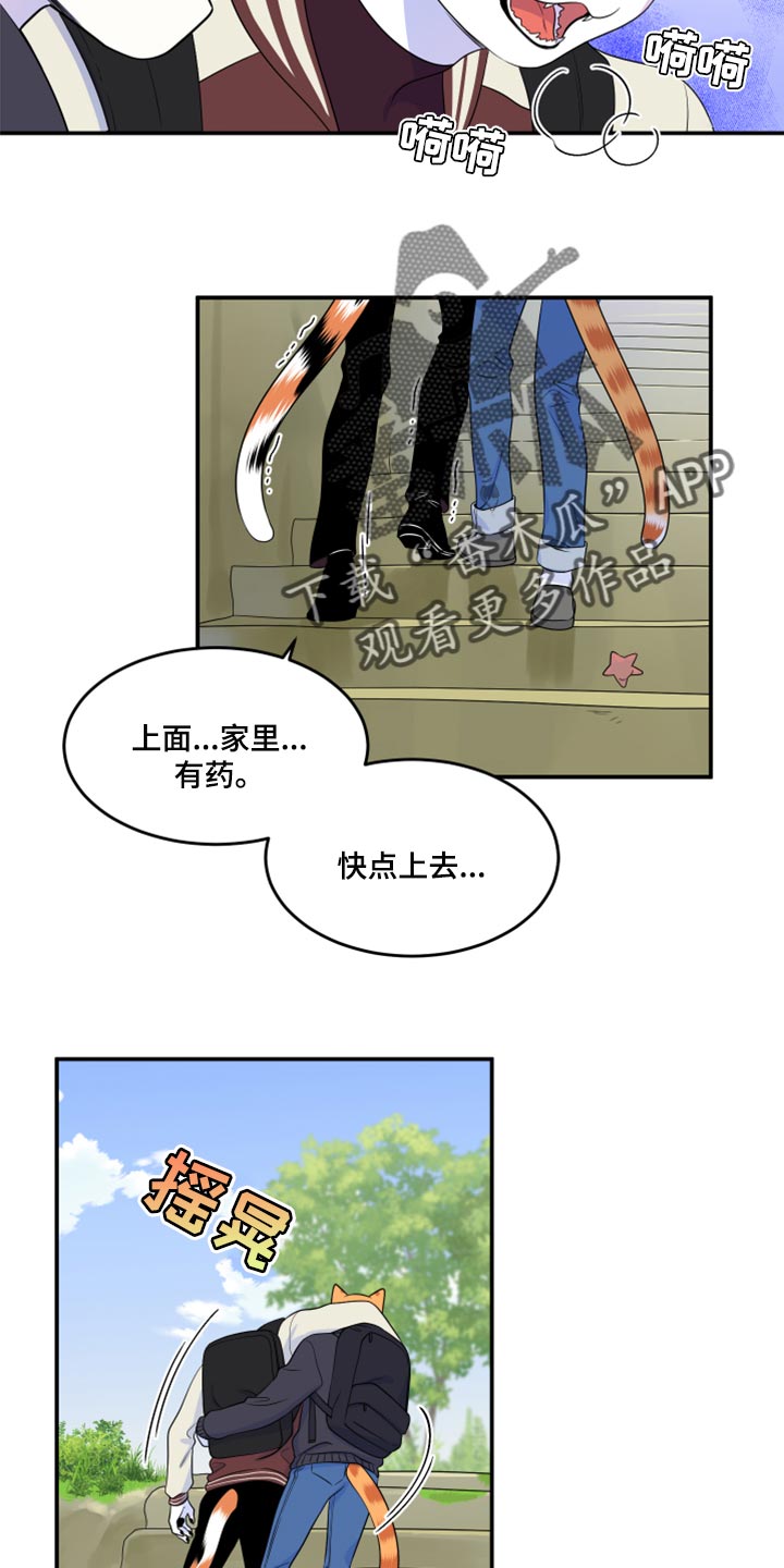 灵猫传汪苏泷漫画,第60话1图