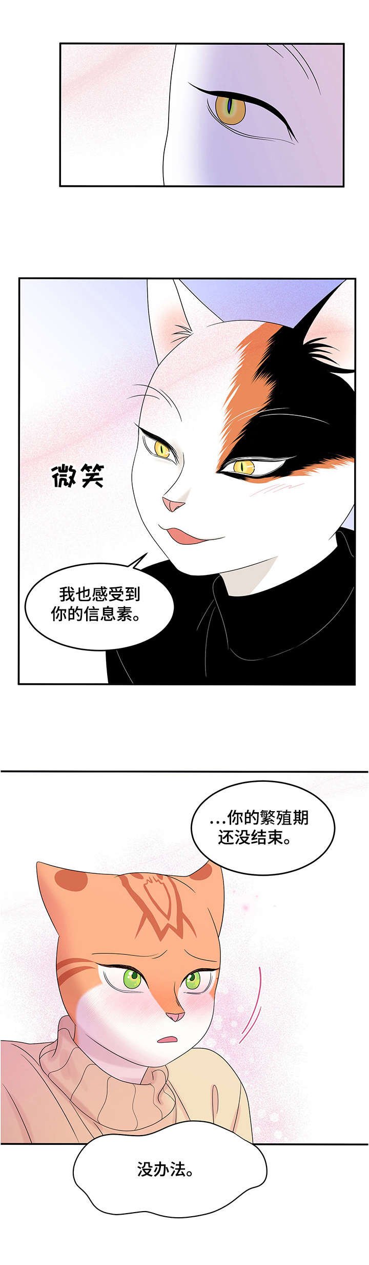 灵猫欧米伽什么时候更新漫画,第11话2图