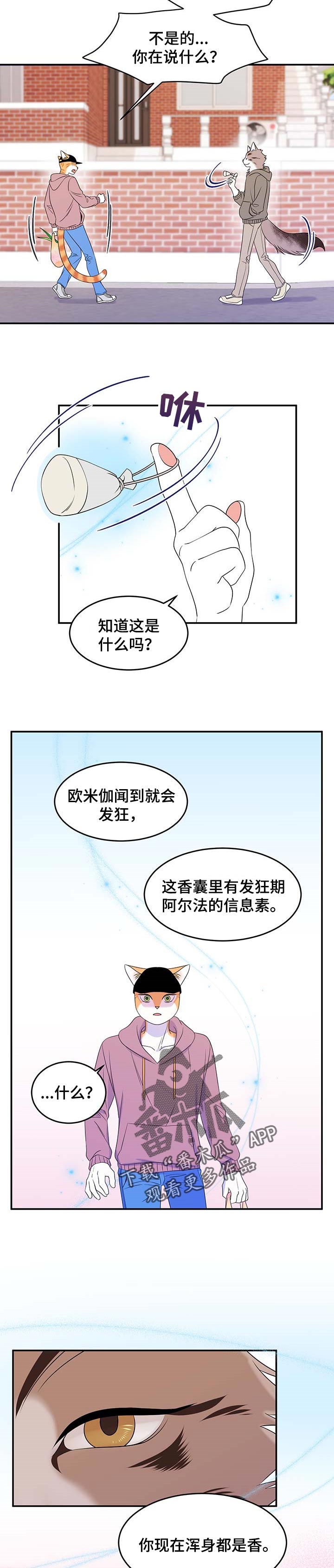 灵猫欧米伽第三季什么时候出漫画,第27话2图