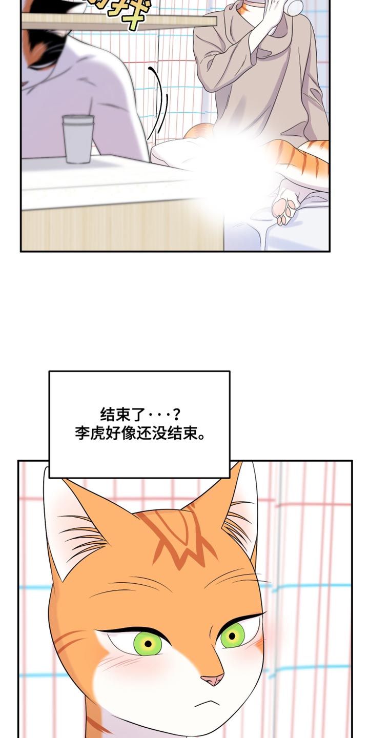 灵猫欧米伽漫蛙叫什么漫画,第168话1图