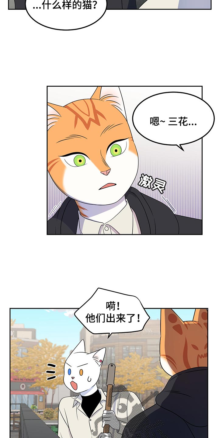 灵猫欧米伽漫画,第43话1图