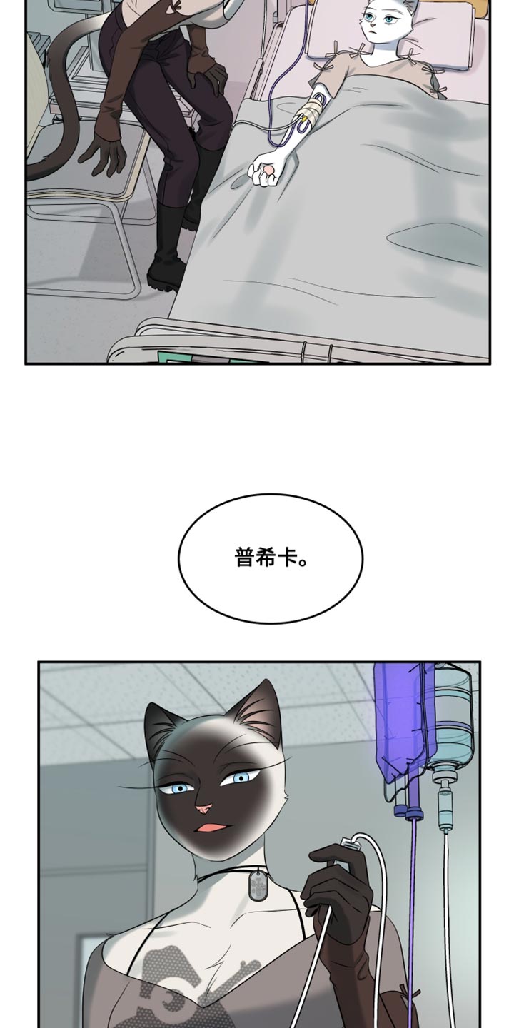 灵猫欧米伽3漫画,第150话1图