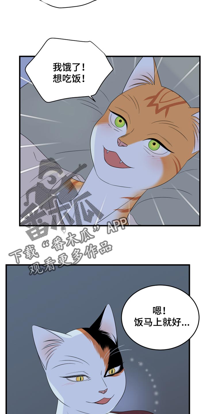 灵猫欧米伽完整版漫画,第66话2图