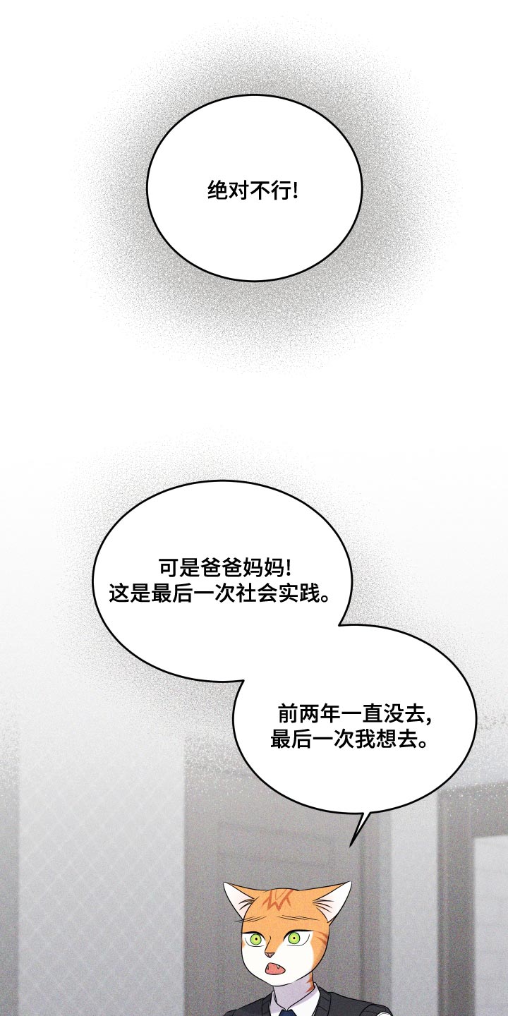 灵猫欧米伽双猫漫画,第97话1图