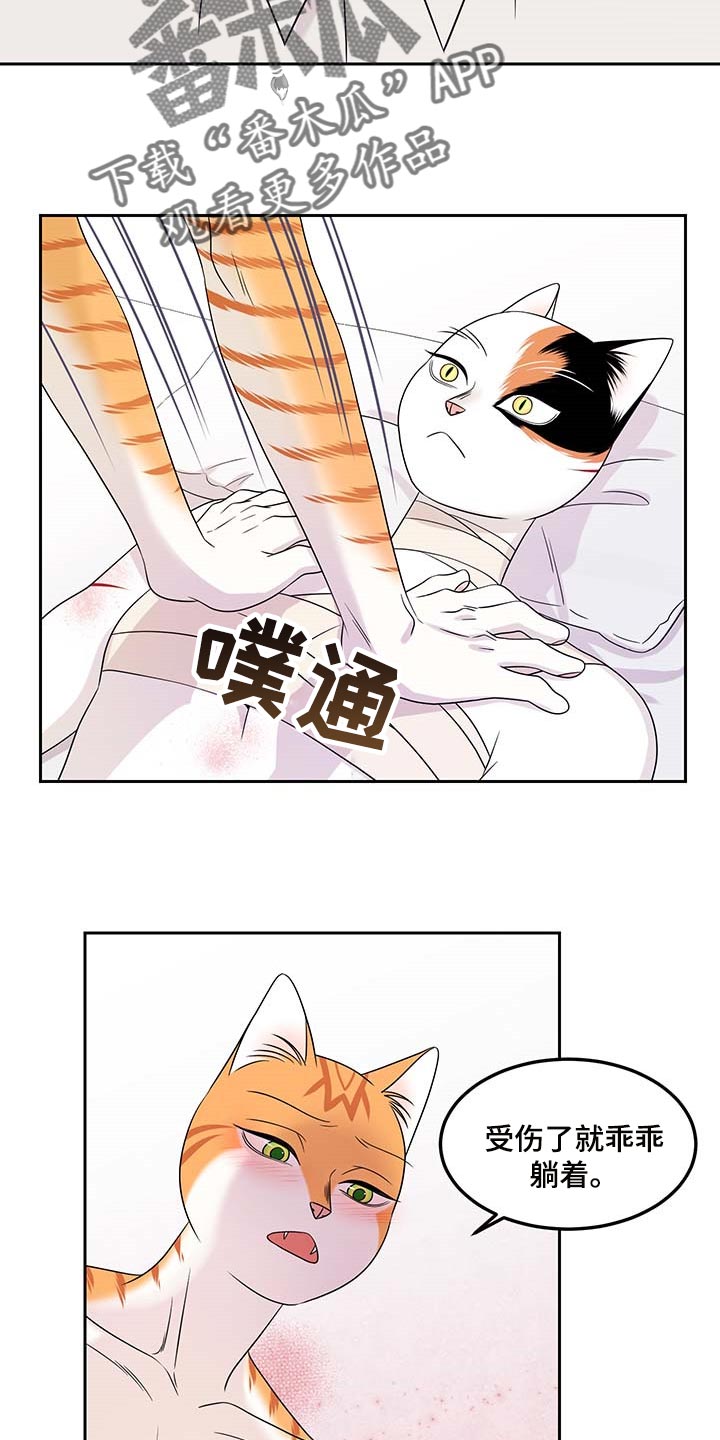 灵猫欧米伽免费阅读漫画,第46话2图