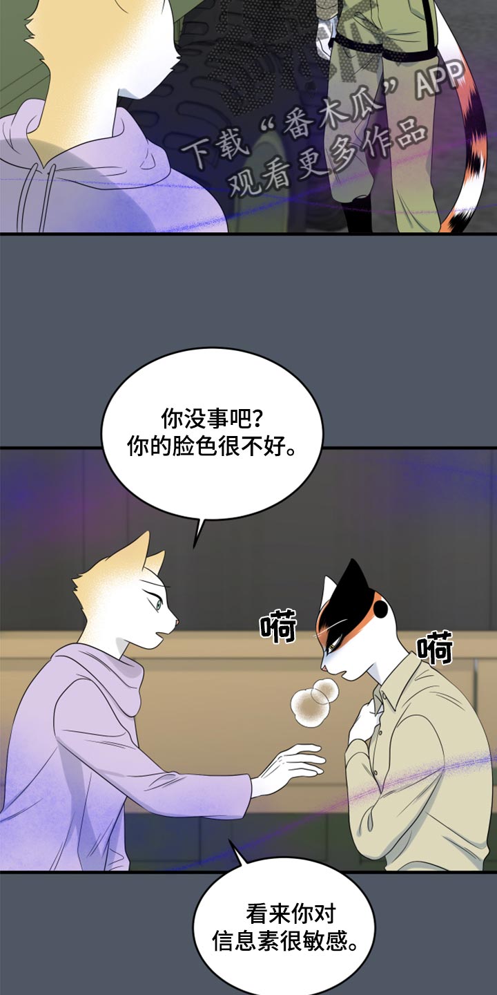 灵猫欧米伽第三季156章漫画,第83话2图