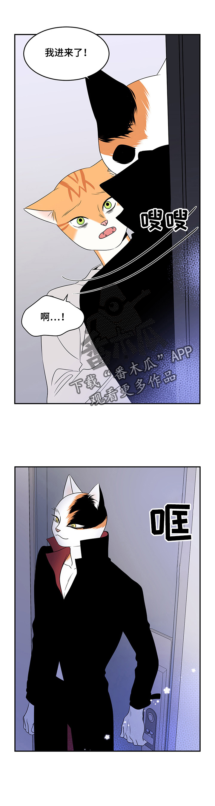 灵猫欧米伽第三季什么时候出漫画,第3话1图