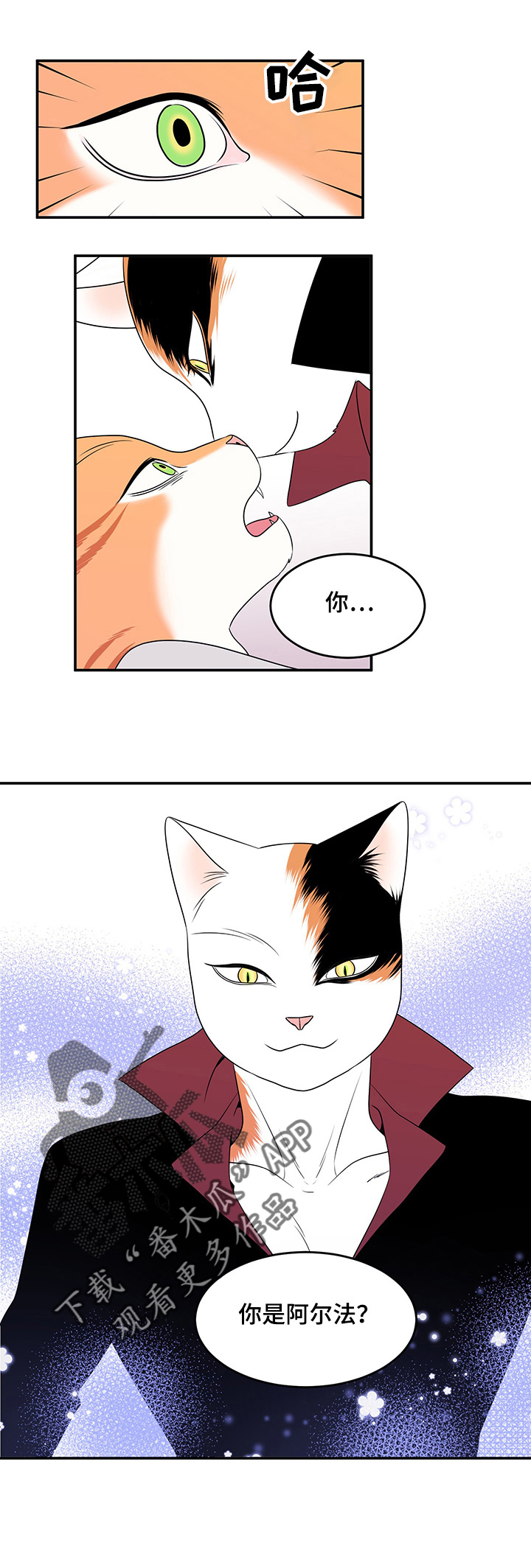 灵猫是什么动物漫画,第3话2图