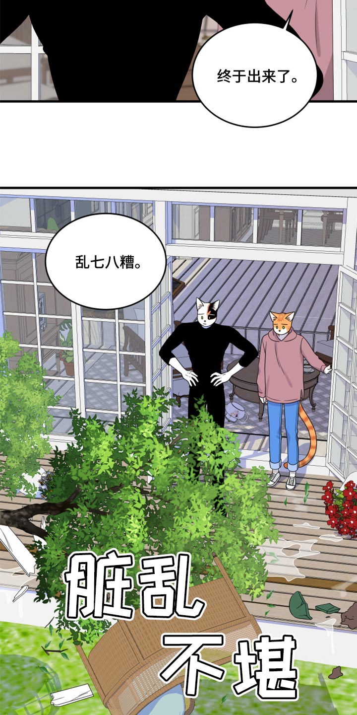 灵猫欧米伽漫画在哪看漫画,第89话2图