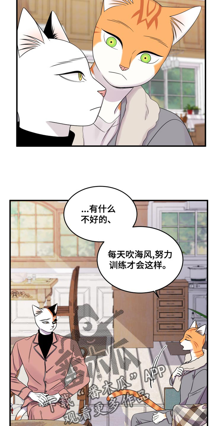 灵猫欧米伽免费阅读漫画,第99话1图