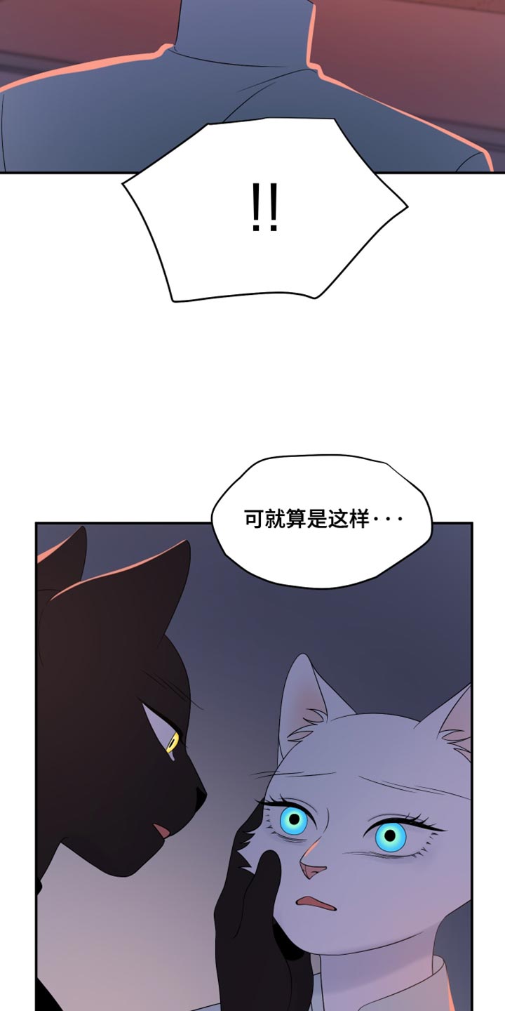 灵猫欧米伽是双男主吗漫画,第155话2图