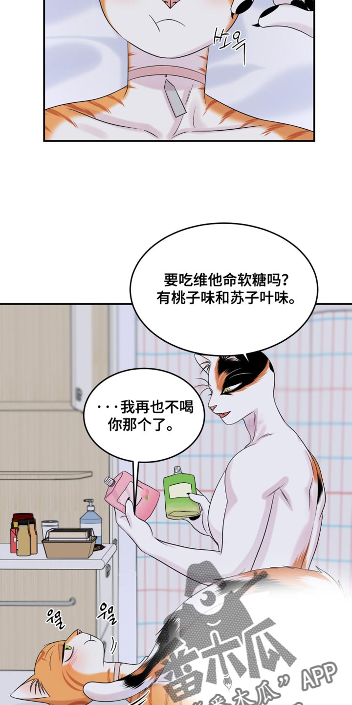 灵猫欧米伽漫画免费观看漫画,第168话1图