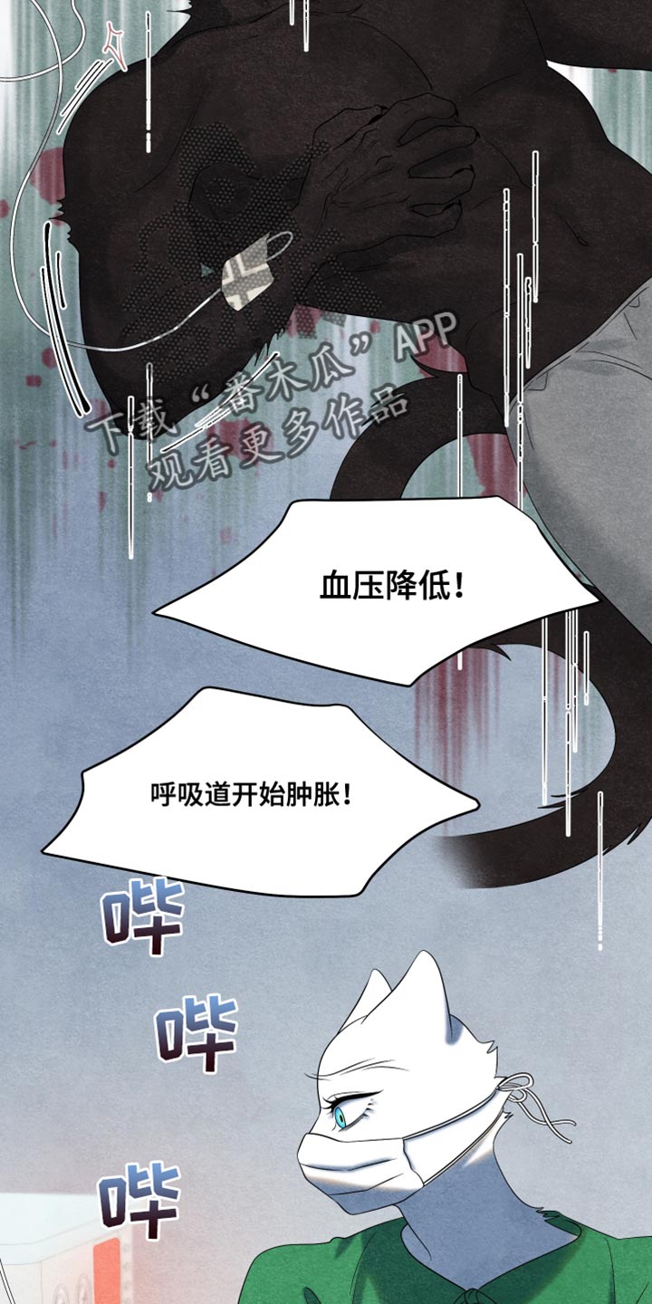 灵猫欧米伽漫画在线观看画涯漫画,第156话1图